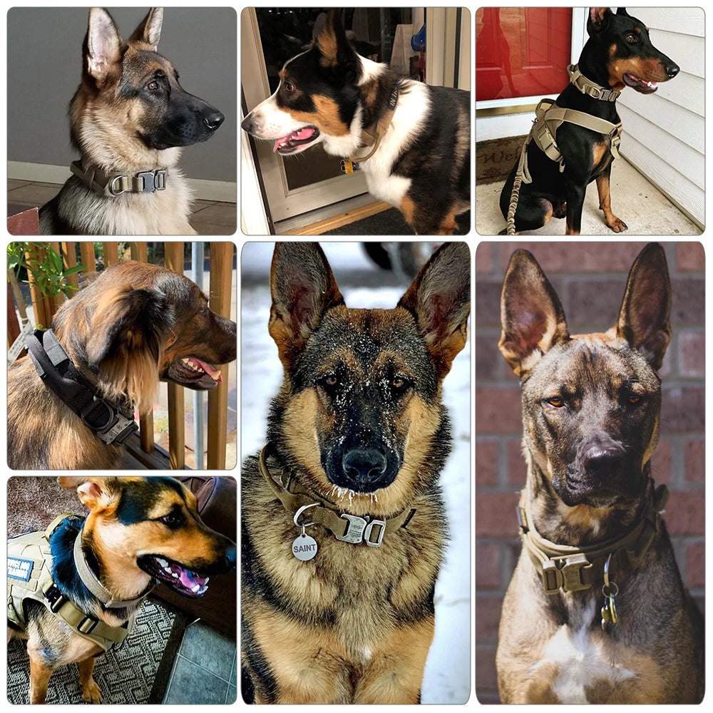 PETRAVEL CN Dog Training Collar Leash Set For All Dogs
