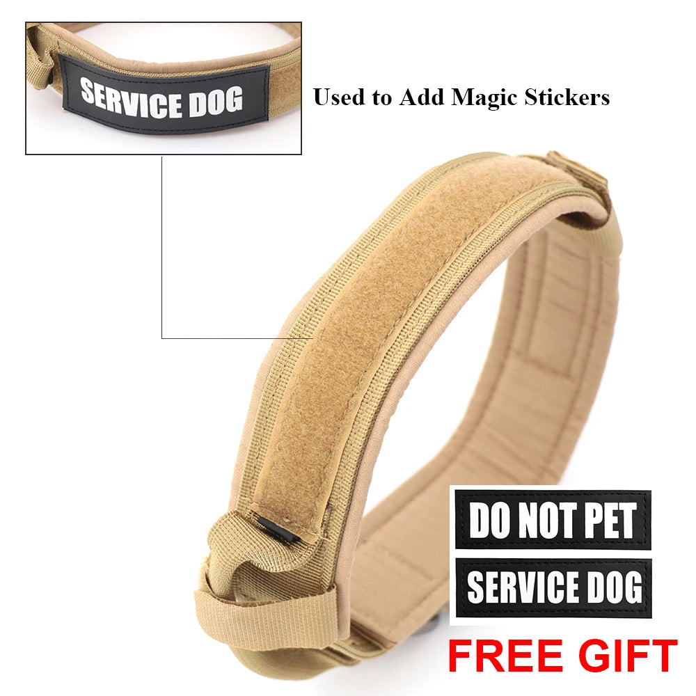 PETRAVEL CN Dog Training Collar Leash Set For All Dogs