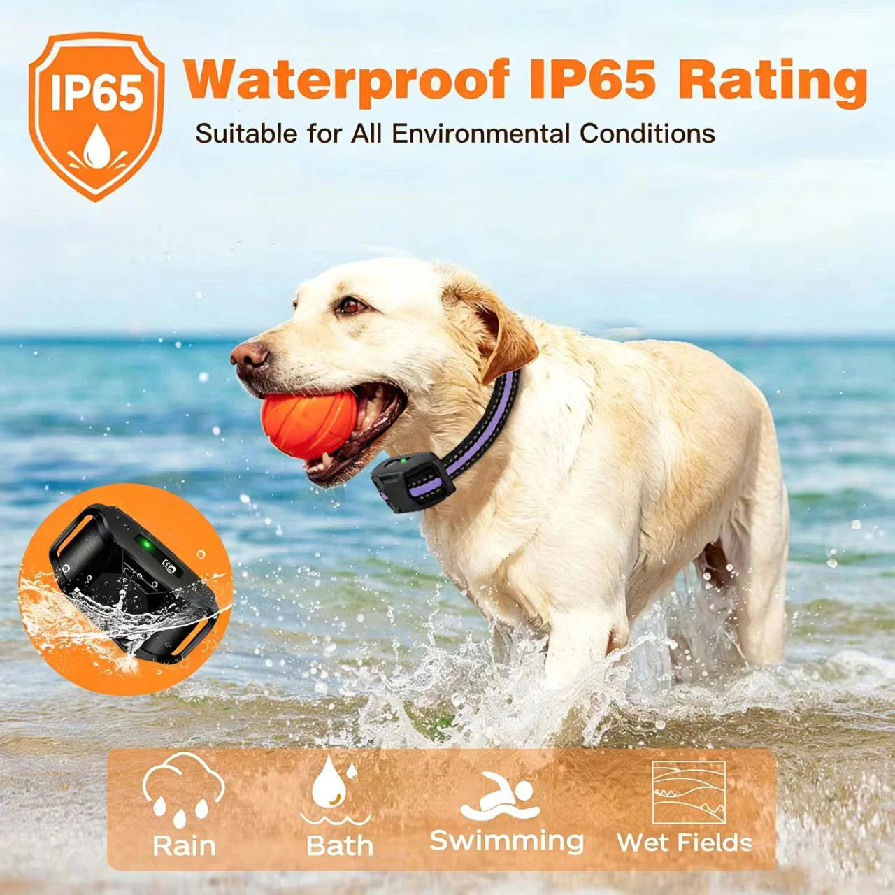 WXRPET 3300Ft Electric Dog Training Collar Remote Control Waterproof