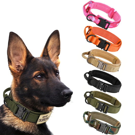 PETRAVEL CN Dog Training Collar Leash Set For All Dogs