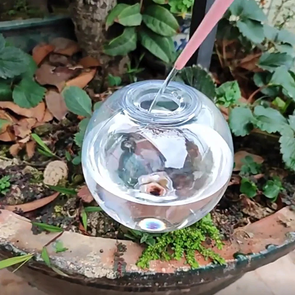 Plastic Automatic Plant Watering Globes 500ml Drip Irrigation Potted Plants
