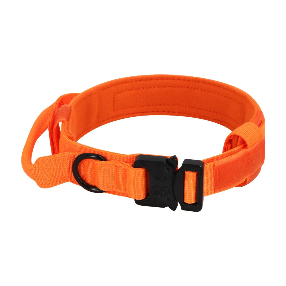 PETRAVEL CN Dog Training Collar Leash Set For All Dogs