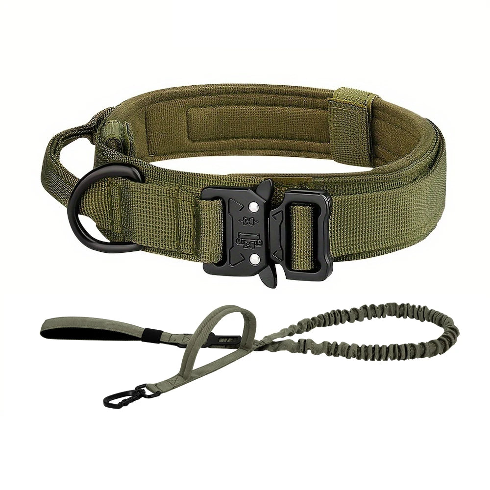 PETRAVEL CN Dog Training Collar Leash Set For All Dogs