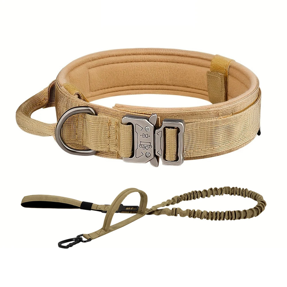 PETRAVEL CN Dog Training Collar Leash Set For All Dogs