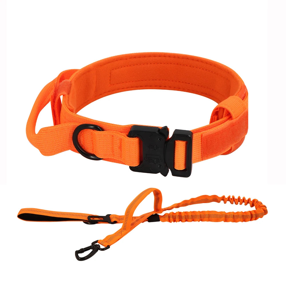 PETRAVEL CN Dog Training Collar Leash Set For All Dogs