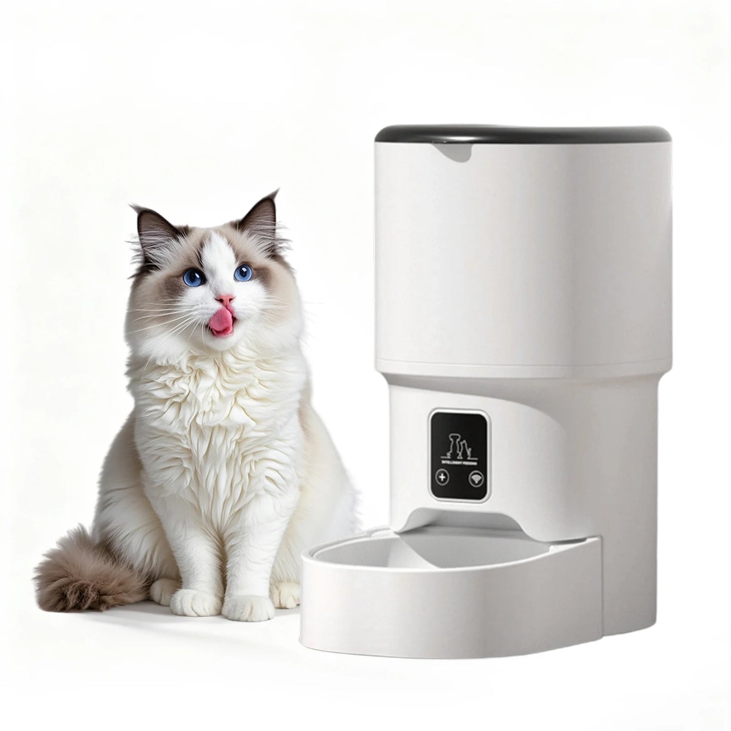 HiMISS 4L Programmable Automatic Pet Feeder For Small Dogs Cats