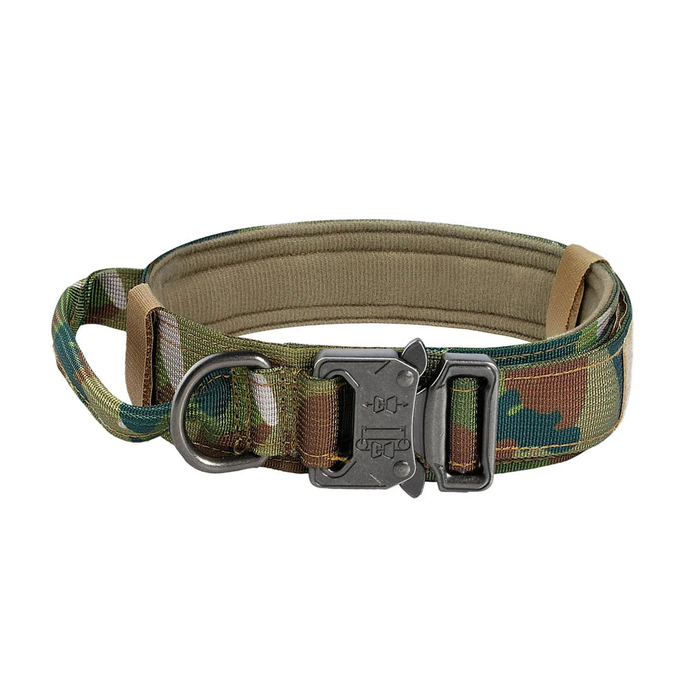 PETRAVEL CN Dog Training Collar Leash Set For All Dogs