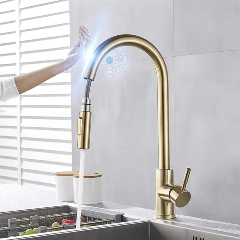 Shinesia Touch Sensor Kitchen Faucet With Dual Handle Pull Out