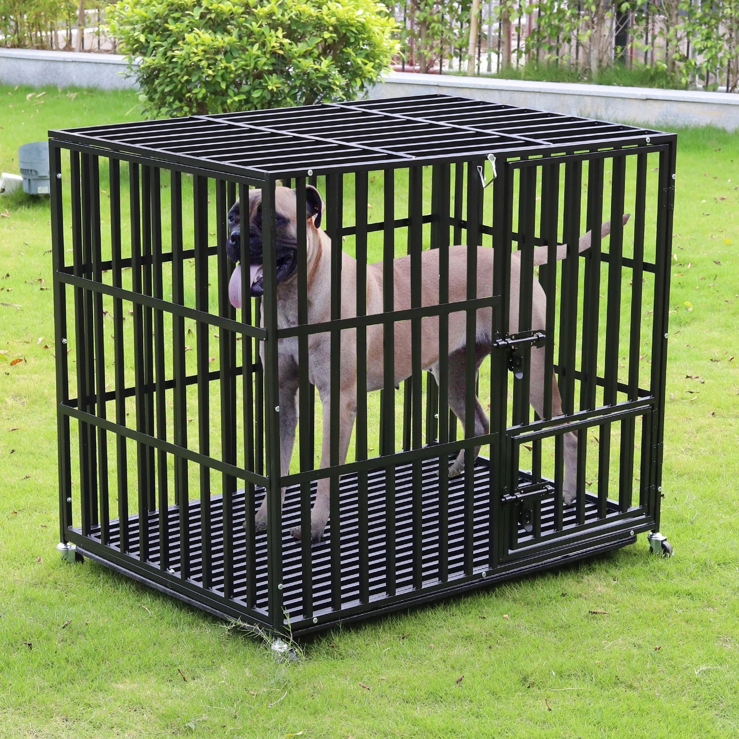 Bingopaw Heavy Duty Metal Dog Cage With 3 Doors Locks And Wheels Tray