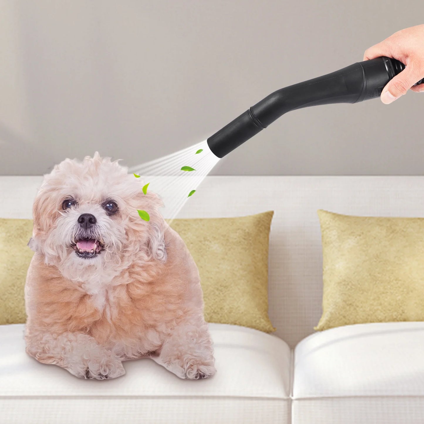 Succebuy 2.5 Peak HP Threefold In One Wet Dry Vacuum