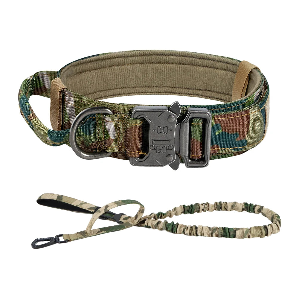 PETRAVEL CN Dog Training Collar Leash Set For All Dogs
