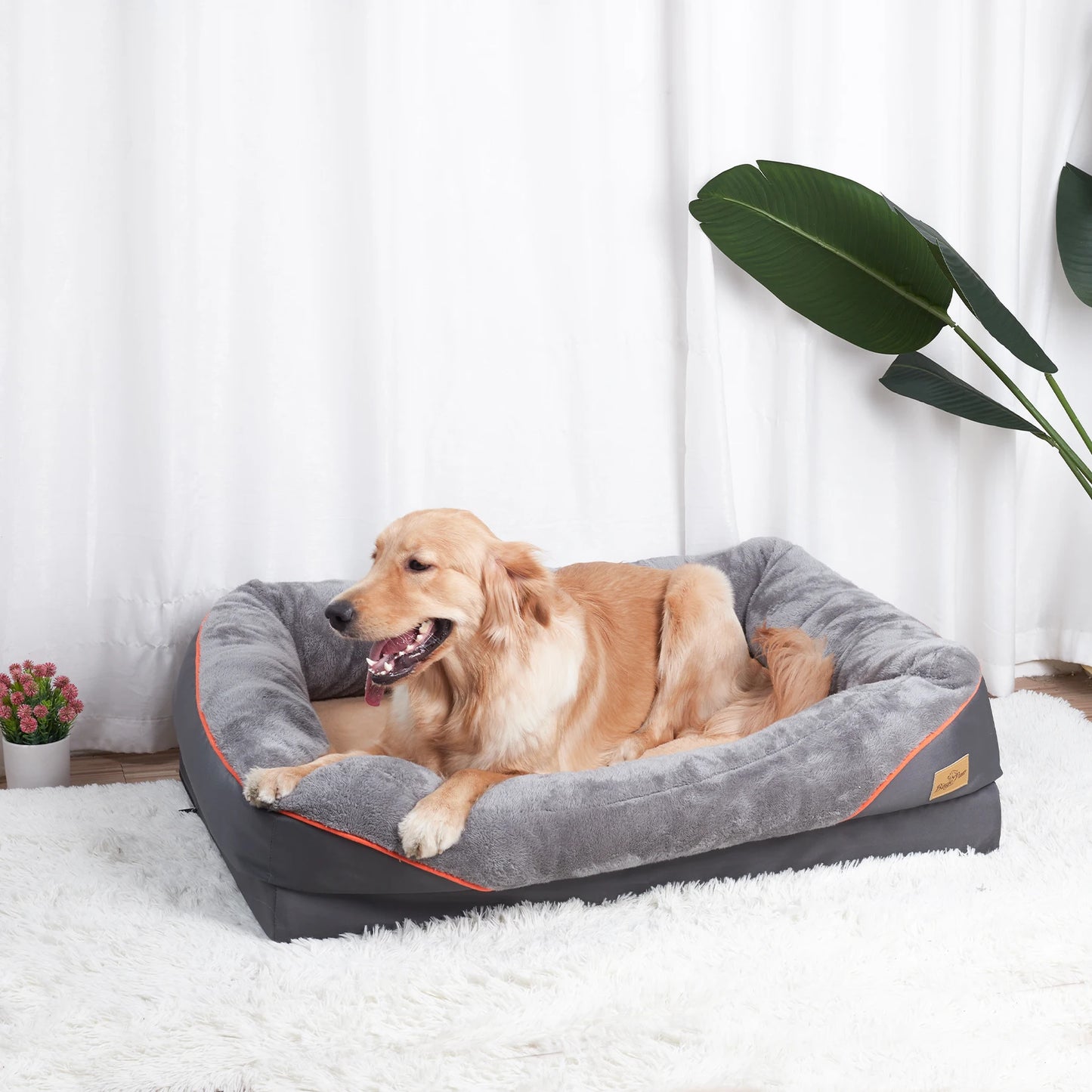 BINGOPAW Dog Bed with Removable Washable Cover Anti Allergy Warm