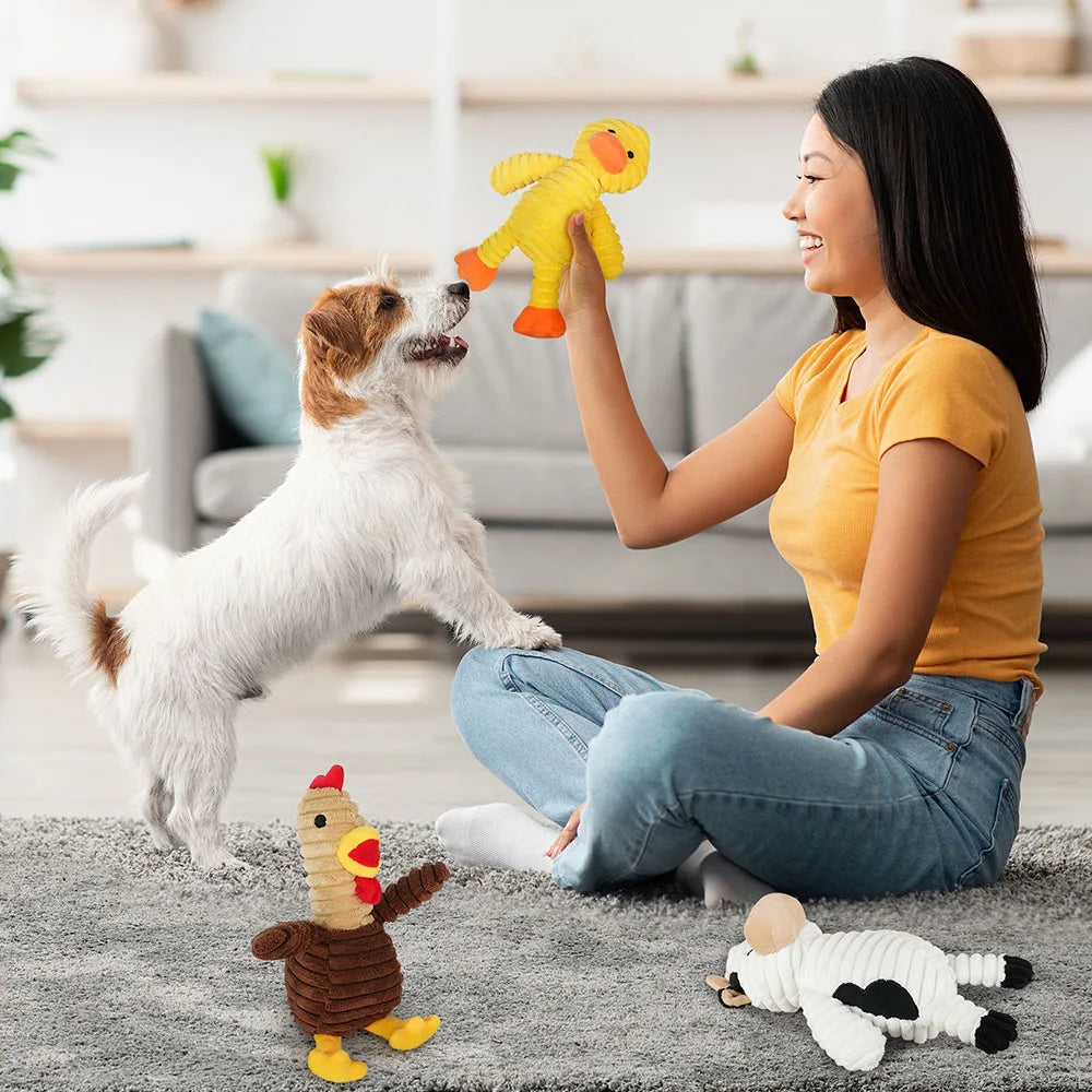 Dog Plush Squeaky Toys Bundle Assortment For Dogs Value