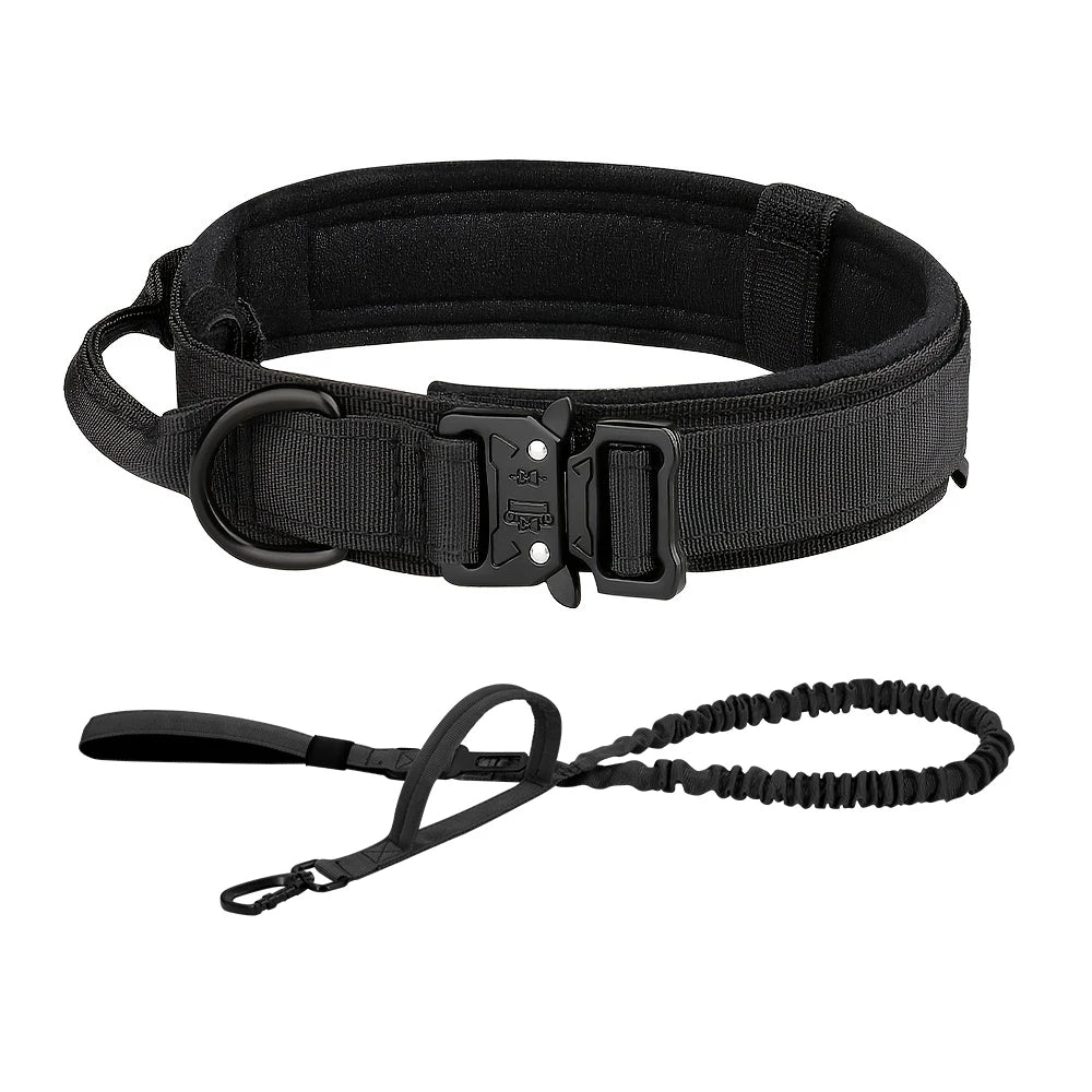 PETRAVEL CN Dog Training Collar Leash Set For All Dogs