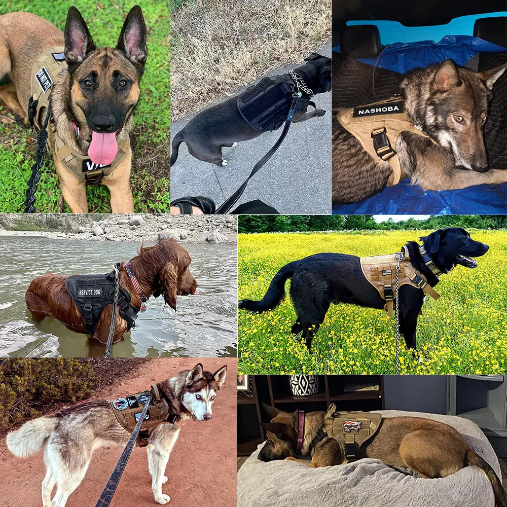 PETRAVEL CN Large Dog Harness And Leash Set Vest Training