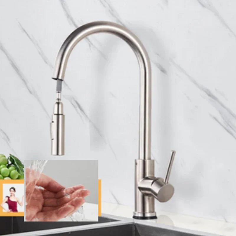 Shinesia Touch Sensor Kitchen Faucet With Dual Handle Pull Out