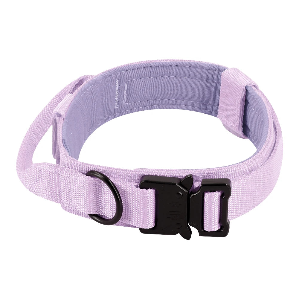 PETRAVEL CN Dog Training Collar Leash Set For All Dogs